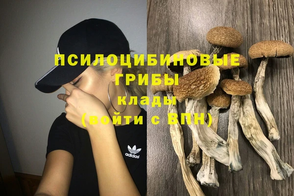 амфетамин Богданович